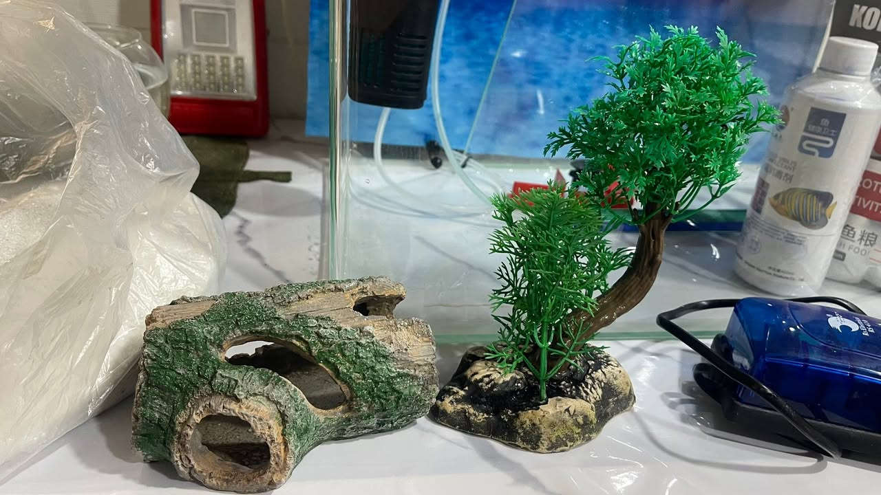 حوض سمك جديد للبيع قياس 50*30 وي محتوياتها
الإضاءة 

اكل سمك 

بيت 

شجرة 

هيتر 

رمل 

الأوكسجين 2 جهاز 

سعر 60 الف


**إذا كنت صاحب هذا الإعلان وتريد حذفه لأي سبب، رجاءا أرسل رسالة إلى الدعم الفني**