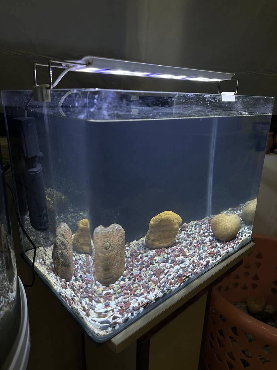 بە كاملی نرخی بۆتە  ٥٥ هەزار .. داشكانی بۆ كراوە
حەوزی شەریكەی پێش قەوس دیزاین كراوە
لیدێكی ستاندنی گیایی زۆر تایبەتی لەگەڵە
فلتەری ناو حەوزی لەگەڵەو هەمیش ئۆكسجینە
 بنی حەوزەكە بە بەردی ورد ڕازاوەتەوە
٣ بەردی گەورەی  لەگەڵە وەك دیزاین
پشتی باگراوندی ڕەشی لێدراوە
قیاسی درێژی ٥٠ سم بەرزی ٣٦ سم پانی ٣٠ سم
___________________
ئەوەی ویستی نامە بنێرێت لە واتس ئەپ یا ڤایبەر 
***********
گەیاندنمان تەنھا بۆ ناو سلێمانی ھەیە
