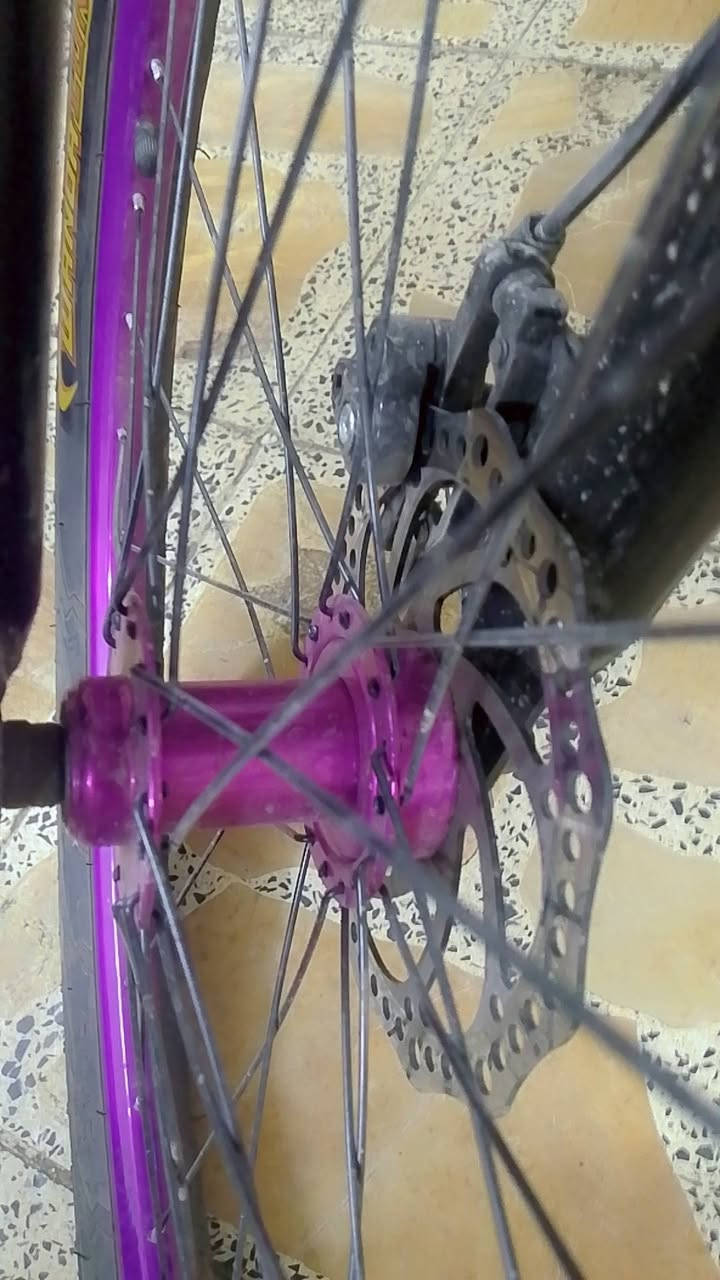باسكل اخو الجديد للبيع ب150الف
سبب البيعةجبته لبني و طلع جبير عليه


**إذا كنت صاحب هذا الإعلان وتريد حذفه لأي سبب، رجاءا أرسل رسالة إلى الدعم الفني**