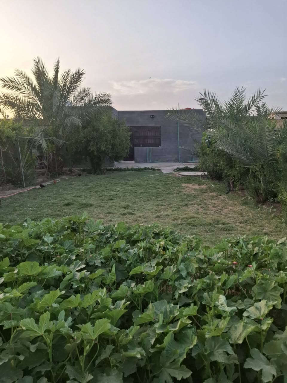 دار للبيع🌹 السلام عليكم 🌹
🏠 **دار للبيع** 🏠

📍 **الموقع:** الهاشمية نزلت الساده البحارنه

#ملاحظة: دار مع قطعه المساحه الكليا الدار مع القطعه
 ٧٠٠ متر

🔹 **التفاصيل:**
▪️ نوع العقار: طابو زراعي سند 25 (تحويل مباشر بعد الشراء) علمه أن الشارع ٨ متر تبليط ماء كهرباء الحي الجديد

▪️ اوكرر المساحة: الكليا ٧٠٠ متر دار مع قطعه

🏡 **مواصفات البيت:**
▪️ طابق واحد
▪️ ٢غرف نوم 
▪️ استقبال
▪️ صالة
▪️ مطبخ
▪️ صحيات داخلية وخارجيه

📞 **للاستفسار:**
***********
***********

