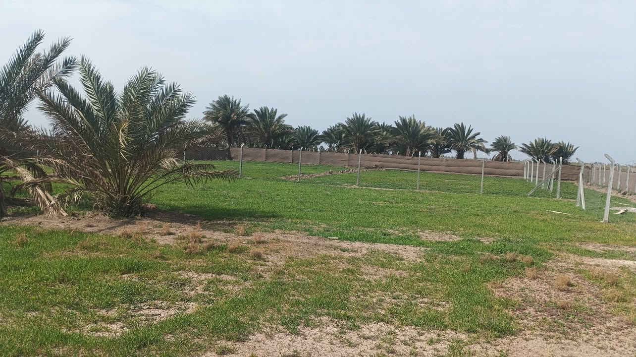 يا الله يتوفر دونم
تفاصيل 
مساحه الارض 2500م 
جنس الأرض طابو زراعي سند25 تحويل ملكيه مباشر 
يتوفر مغروسات الأرض حلوه مرتبه 
تريده سكن استثمار مزرعه 
الخدمات قريبه عليه جدا 
موقع العقار طريق حله نجف خلف جامعه بابل مباشر 
لتواصل ***********
