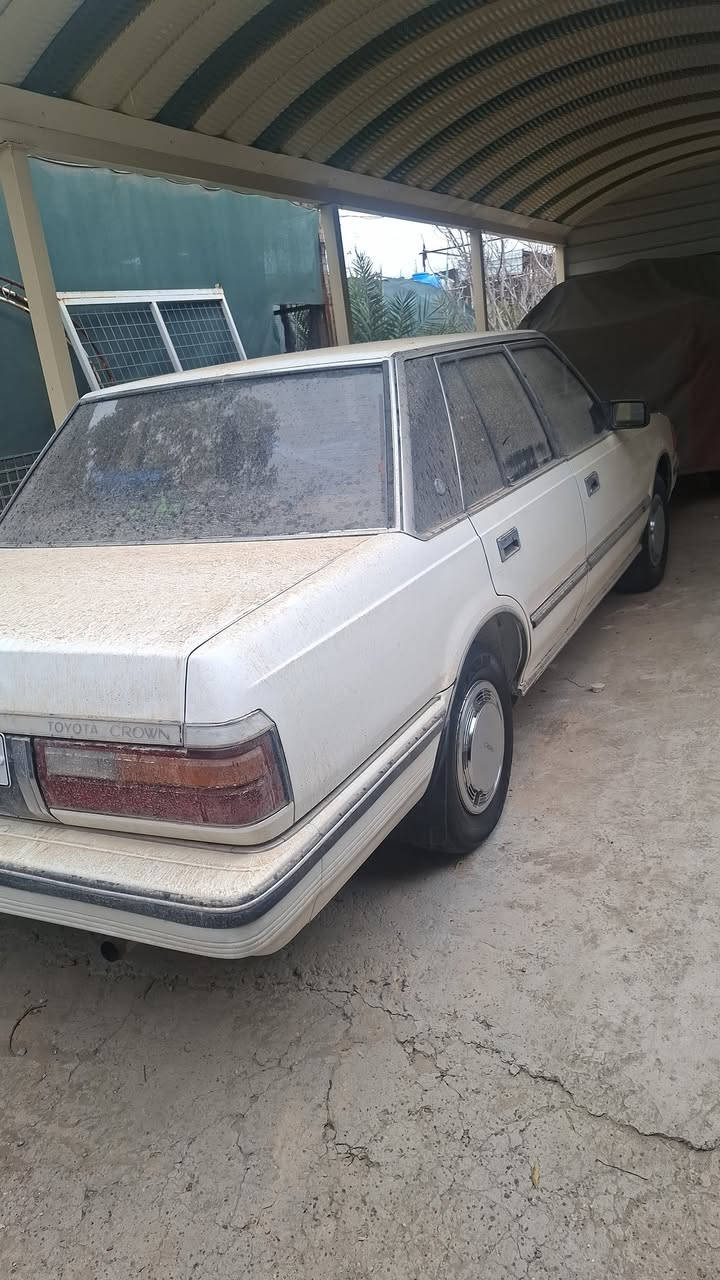 سوبرموديل٨٤
٨٥ مكفولات ***********على وضع الشركة بغدادفلكة حي النصر
