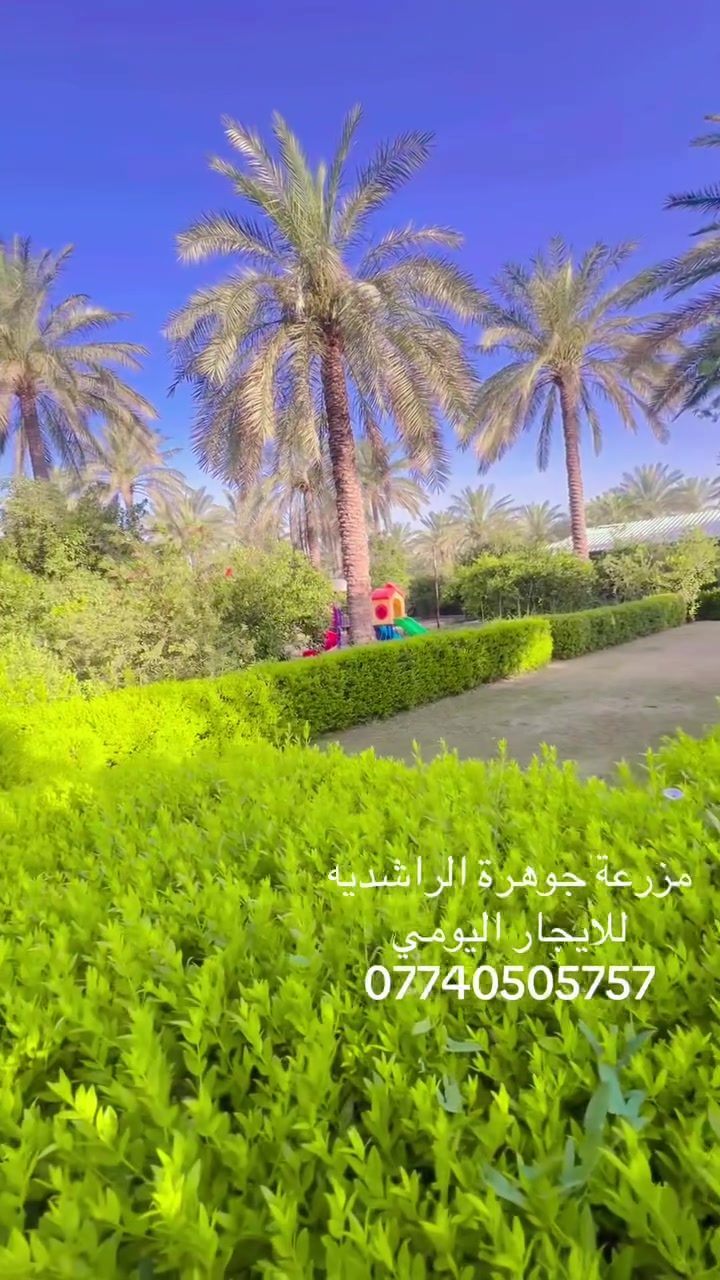 متوفرة مزرعة جوهرة الراشديه كل ايام الاسبوع للايجار اليومي ***********
