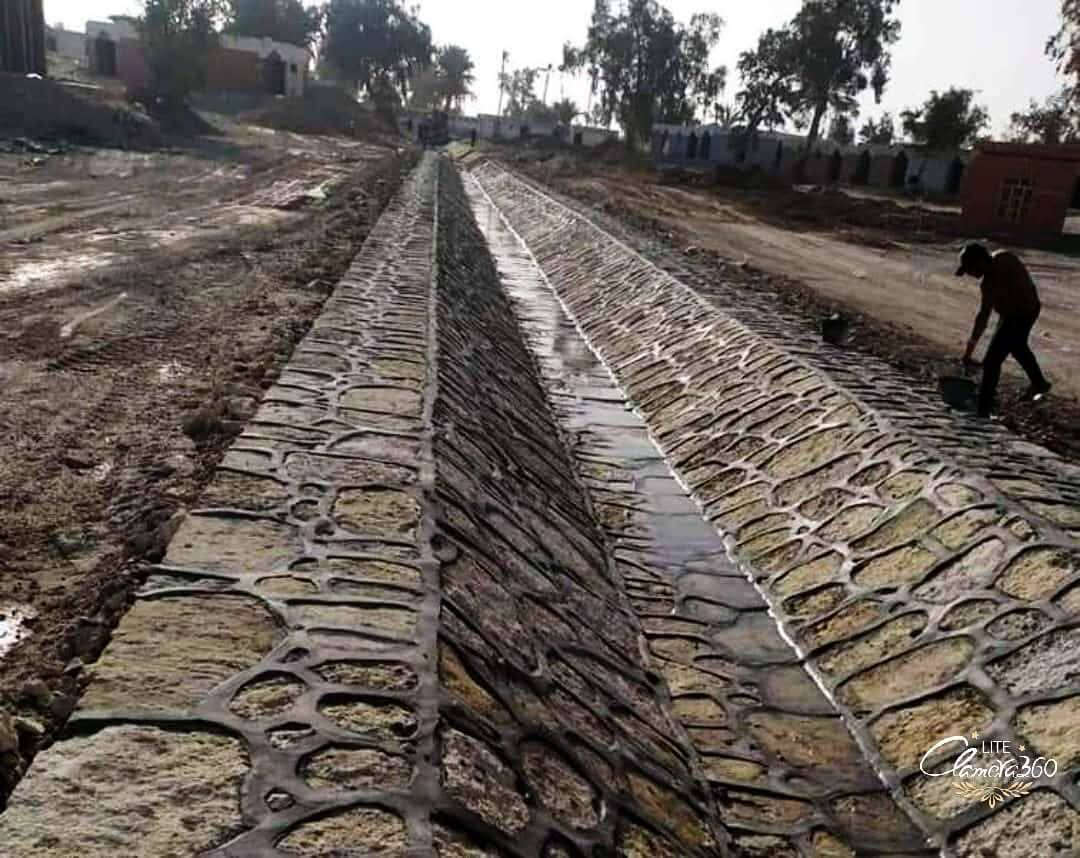 *********** ************
