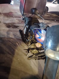 بوكسر • موديل ٢٠٢١ • أوراق ضايعة