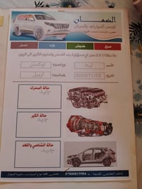 توسان ٢٠١٩ • ماشية ١١١ • رقم اربيل