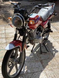 دايون عظم • ٢٠٢٠ • أوراق