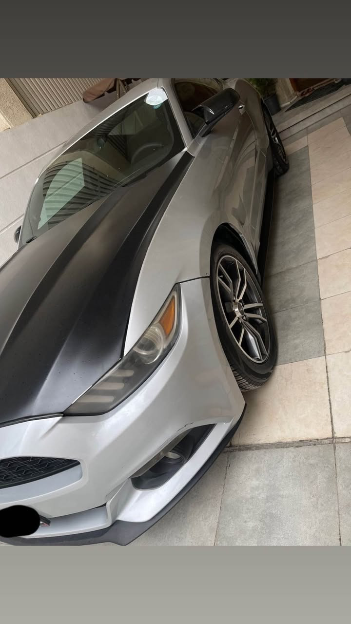 فورد موستنك

موديل 2016
مرفق صوره رقم الشاصي 

رقم اربيل بأسمي تحويل مباشر

 ارقام دولي

مكينة 3700 v6

كير ومكينه مكفولات

ماشيه113 mi

منظومة تبريد جديده

داخل قماش نضيف

لايتات زينون

شاشة وكامره خلفيه

تخم تاير جديد

ويلكب جديد

سبايدر 

دوسات 

داخل نضيف 

لحيه اماميه

شباك جديد

السياره حادثهه بامريكا بجم مو قوي

كهربائيات بلاد

السياره جاهزه لآخر حبة بدون نقص

بالعراق صار بيهه كم رصعه وخدوش خفيفه مو ظروريه ولا مبينه

رش حزام جماليه 

السعر  $ 128 وبيها مجال 

مكاني بغداد / الدوره

*********** بغداد, العراق
