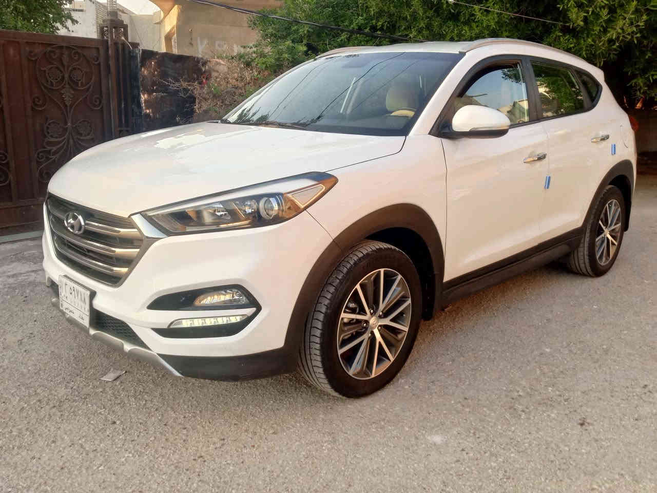 بيع توسان موديل 2017
خليجي مكينه 2000دوش
كير مكينه صدر تخم تاير
كله تمام كير مكينه بلادي
سياره جاهزه شرط التحويل
بيه قطه ونص صبغ بدون دواخل
رايدهه 155وبيه مجال بصيط
مكاني الأعظمية الإتصال ***********
