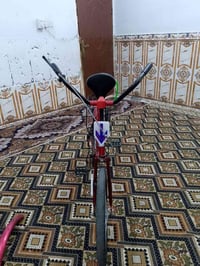 بيسكل • حجم ٢٠ • بيه مجال