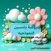 روضة ياء سين • كربلاء حي الرسالة • تخفيض قسط