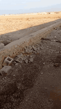 سلام عليكم كاع البيع نهضه شرقيه غرب جامع حجي فازع تريد خمسميه نبيعك تريد الف اهم نبيعك الستفسار عل رقم ***********
