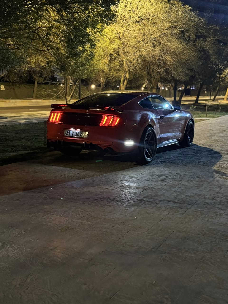 مراوس جالنجر 
موستنج 2016
مصبوغه حزام السياره 
تخم تايرات جديد 
صدر امامي خلفي جديد 
مودات تحكم ستيرن 
كير مكينه مكفول 
حادثه صندوك وارد امريكي


**إذا كنت صاحب هذا الإعلان وتريد حذفه لأي سبب، رجاءا أرسل رسالة إلى الدعم الفني**