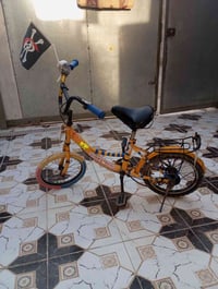 باسكل • فلوجه جبيل • للبيع