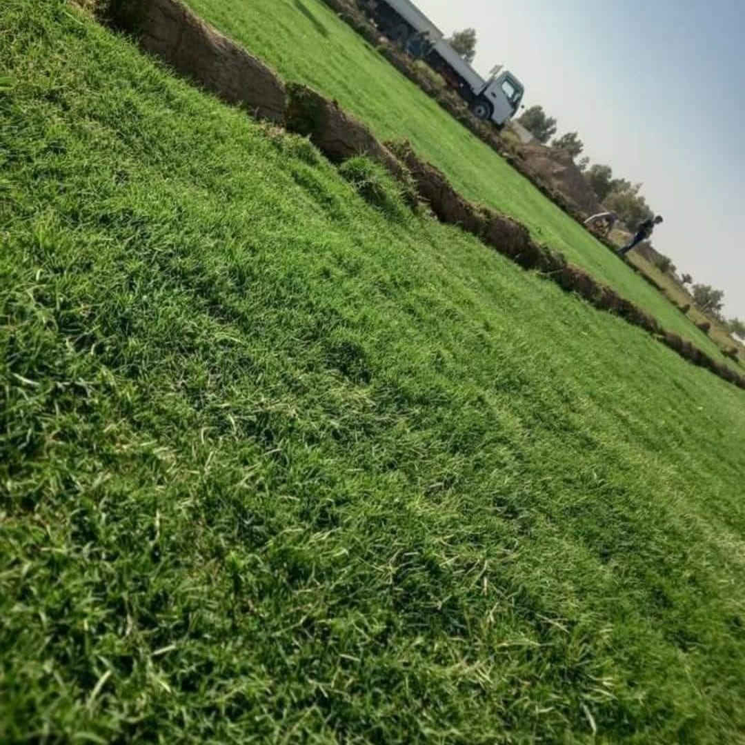 لدينا كافة أنواع الثيل الطبيعي درجة اولى
#متوفر  توصيل لكافة محافظات العراق

متوفر لدينا كافة انواع الثيل الطبيعي💚
#نوعية ممتازة 
هندي - امريكي - ايطالي فرنسي... 🌿☘️🍀
وبأسعار تنافسية 
 
مستعدون لتجهيز الحدائق العامة والمتنزهات والملاعب  
للحجز او الاستفسار اتصل على احد الارقام التالية:
***********
***********
