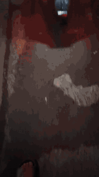 متاح درجة معروفه ب tallg معروفه دراجه شحن كامله ما ناقصه اي شي  مواصفا...