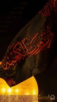 النجف الاشرف • كوت حي الجهاد • الثلاثاء بعد الظهر