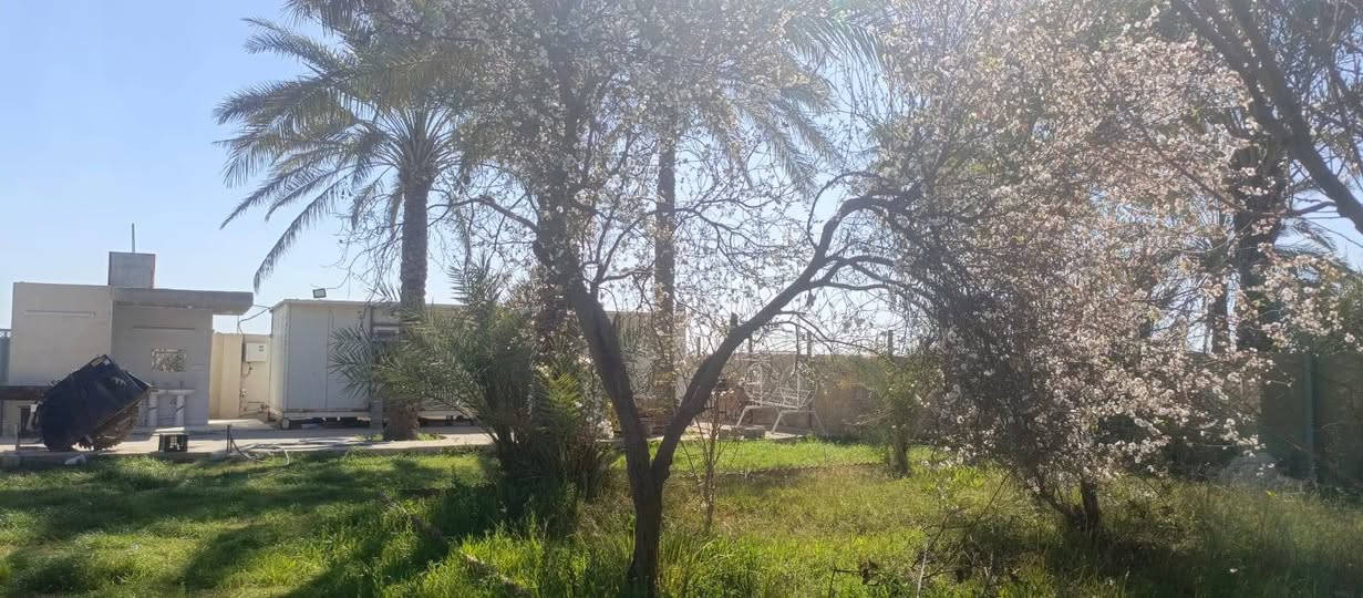 دونم للبيع طابو زراعي سند 25 تحويل مباشر بسم المشتري  العنوان بغداد الراشديه تبعد عن بوابة بغداد الحسينيه 7 دقائق السعر 160 مليون وقابل للتفاوض مسيج بالكامل للاستفسار الاتصال على الرقم التالي *********** مكتب العبيدي للعقار
