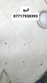 تخم كب للبيع متوفر توصيل العنوان بغداد دوره حي دجله 07717930393