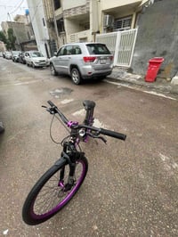 باسكل برازيلي • حجم ٢٦ • نضيف