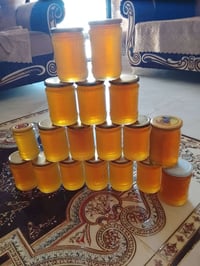 عسل اليوكالبتوز • أبيض عطري • فرز جديد