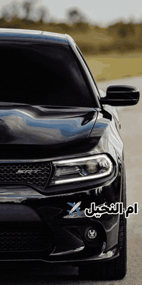 نقليات ام النخيل  
تكسي محافظات من الباب للباب
اربيل___موصل   (35الف)ذهاب واياب(60لف) وحسب الوقت والتاخير
موصل___سليمانيه  (110الف)ذهاب واياب(180لف)
موصل___دهوك       (30الف)ذهاب واياب(50الف)
ومتوفر استقبال من مطار اربيل  علئ مدار 24ساعه
او سفرات سياحية الئ مصايف الاقليم
سيارات حديثة
*********** 📞📩
*********** 📞📩
*********** 📞📩
