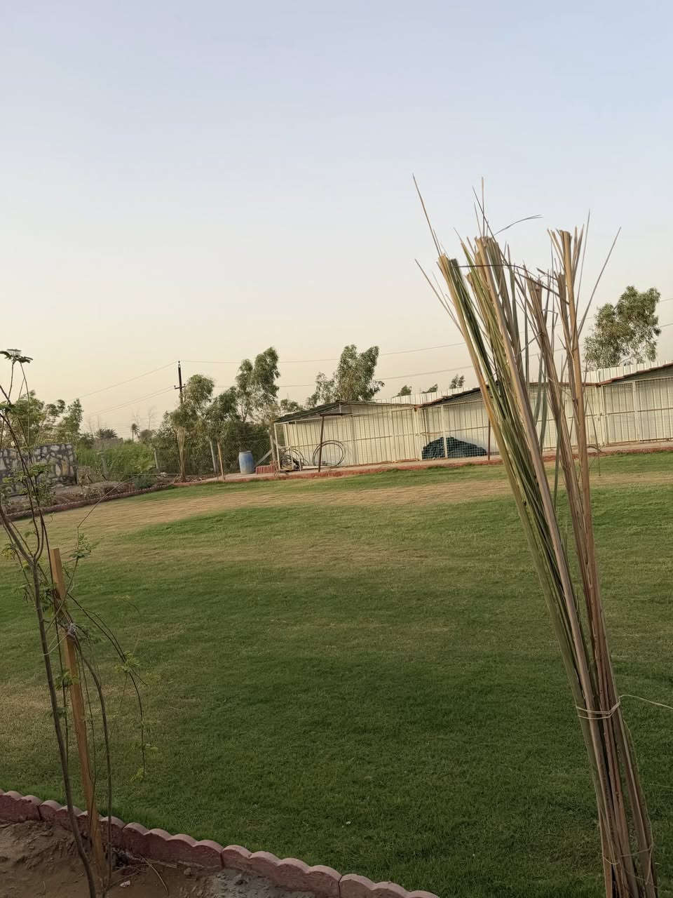 مزرعة #للبيع  سند 25 
الديوانية خلف معمل الغاز 
المساحة 1750 م 

تحتوي المزرعة 👨‍🌾
دار بناء حديث 
غرف عدد 2 
صاله 1 
مطبخ 1 
مجموعة صحياة 1 

ومسبح كبير تكون مجاور الدار 🏊‍♂️
 
المزرعة تباع كامل مع الاثاث الموضح داخل الصور

 🔹للاستفسار اكثر الاتصال على 
*********** 
‭       📱      |          
‭
او 
🔹زيارة مجموعة المستشار العقاريه لتجارة العقار @الجميع
الديوانيه ام الخيل مقابل بلدية الديوانيه
