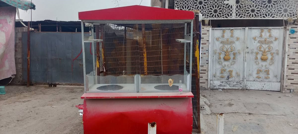 سلام عليكم عربانه مال لبلبي الباكله البيع السعر ٢٥٠وبيه مجال حك الجيه بغداد الشعب 
***********
