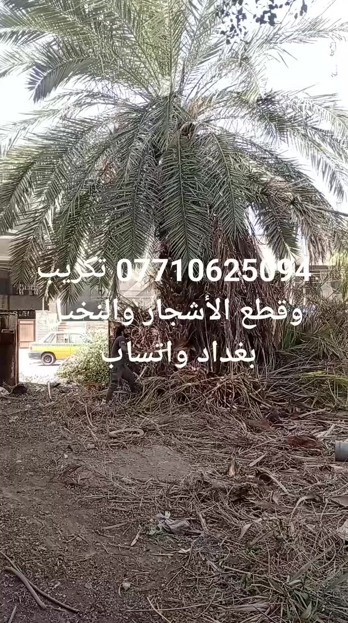 قطع الأشجار والنخيل بغداد واتساب كادر معترف ***********

