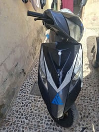 ماكس ثعلب • رنبه • ١٠تيام