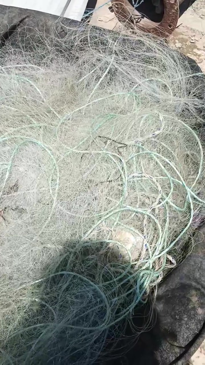 غزل 3اصابع يلعبن رقم 7نزال واحد 75او ثنين60  طول الشبج الواحد 65متر حبل الرصاص برشوت تحبيس درجة اولى للبيع الشراي يتفضل خاص او يتصل على الرقم***********
