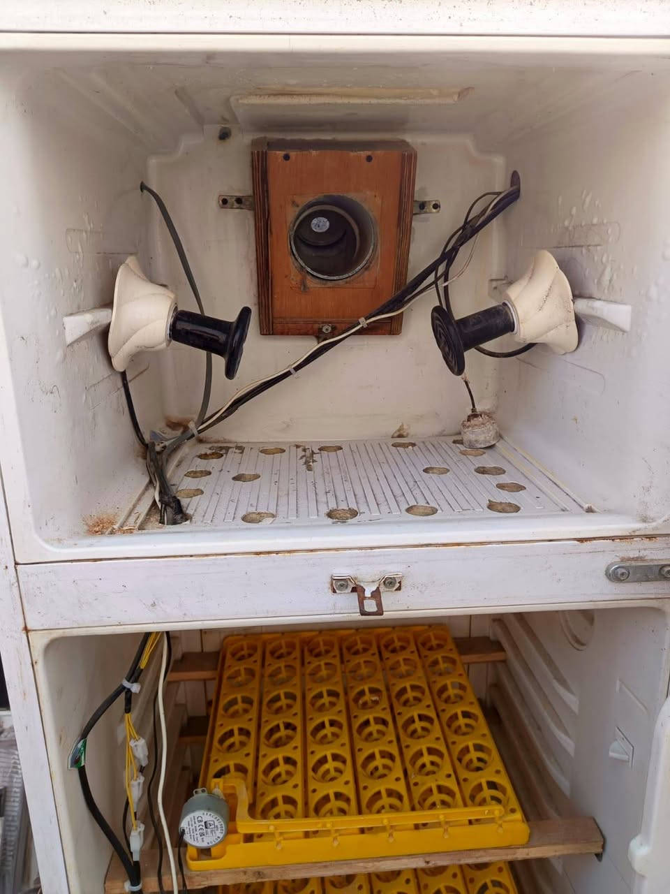 للبيع فاقسه متكامله وياها عقل واضويه حراريه ورفوف اوتوماتيك سعرها ٢٠٠ مجالها بسيط
عنوان ناصرية الخميسات مقابل مطعم النافوره


**إذا كنت صاحب هذا الإعلان وتريد حذفه لأي سبب، رجاءا أرسل رسالة إلى الدعم الفني**