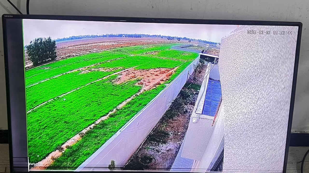 اعمالنا في بسمايا

منظومة 16 كاميرات تجميع بأعلى المواصفات
مع خاصة الذكاء الاصطناعي 

خاصة الذكاء الاصطناعي هي:-
1️⃣ - تصوير اي شخص يصلك قرب المكان بصورة خاصة صوت 
     وصورة ولقطة فديو ١٠ ثواني .
2️⃣-ممكن تحديد الأشخاص المخولين من قبل النظام بعد 
       ادخال بيانات من قبل المستخدم.
3️⃣-تفعيل إرسال صور الأشخاص على الهاتف.
4️⃣- حفظ صورة آخر شخص كان بالموقع قبل فقدان او 
         سرقة جهاز وإرسالها على الهاتف

منظومة دهوا دقة 5 ميكا فول كلر صوت وصورة 

📌المواصفات
🔺16 كاميرات دقة 5 و2ميكا فول كلر صوت وصورة دهوا اصلي
     دبل لد ( تصوير ليلي نهاري ملون حتى بدون انارة)

 🔻ديفيار 16 جنل دقة 5ميكا نوع دهوا يشغل كل انواع 
      الكاميرات ويدعم تسجيل الصوت مع تصوير الوجوه 
     والتعرف عليها بالذكاء الاصطناعي 

🔻هارد 4 تيرا اصلي .

🔺كيبل رولة 250م مسلح ونحاس ومقاوم كافة الظروف 
       الجوية دبل تسليح.

🔺جهاز يو بي اس نوع ليثيوم اصلي يشغل منظومة الكاميرات 
     مع منظومة الانترنت ٣ ساعات حقيقي ويعتبر جهاز حماية 
     ومنظم فولتية وتلغي كافة المحولات

🔻بوكسات عدد 16 خاصة بالكاميرات لحماية الفيش من 
     الرطوبة والعبث وتعطي شكل لائق للكاميرات

🔻فيش كامله خاصة بالكاميرات

🔺راك حديد لحفظ المنظومة من العبث والتلاعب 

🔺كيبل اج دي مسلح

🔻ستاندات ثقيل متغير من 60/120سم 

🔻ماوس واير ليس نوع رابو

🔻 ربط المنظومة على الانترنت وتراقيب وانت باي 
     مكان بالعالم

🔺ضمان سنه حقيقي

🔴لمزيد من المعلومات مراسلتنا على الخاص او الاتصال على الرقم
***********
***********مهندس محمد
