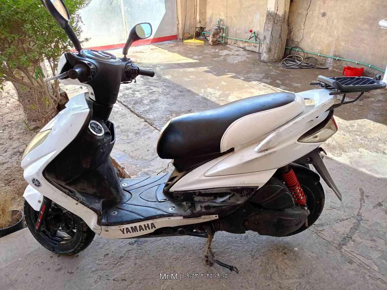 سكنس كابريتر مكانها الصويره سعر 450


**إذا كنت صاحب هذا الإعلان وتريد حذفه لأي سبب، رجاءا أرسل رسالة إلى الدعم الفني**