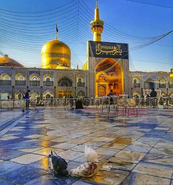 #تحطيم #_الاسعار 
 عطله نصف السنه 
تعلن حمله السيده زينب 
للزياره العتبات المقدسه 
برامج ايران 🇮🇷سياحي ديني 
#رحلتك ويانه هنو احلى   
قم   مشهد.  نيشابور
 
السعر( 220 ) الف عراقي فقط
انتباه انتباه انتباه225 الف 
3وجبات طعام في قم 
3وجبات طعام في مشهد  
تاريخ الرحلات 
  2/2/2026
3/2/2026
4/2/2026       

#باص #vip    #رجال أعمال    25نفر  
#البرنامج 11يوم
#3ليالي قم المقدسه
#4ليالي مشهد المقدسه 
 
برنامج الرحله هي :-
1- قم ( جامع جمكران , الاربعين علوية , بيت النور 
2- مشهد (، قدم الامام الرضا ع , ياسر وناصر باغ مشهد  جبل كوسنجي   

------------------
ملاحظة :- يكون التسكين ثلاثي ورباعي وخماسي 
ومن يرغب بغرفة ثنائيه فرق للشخصين (30الف    ) 
والغرفة السنكل  ( 60الف الف )
جميع برامجنا تشمل
1- الذهاب والعودة من مقر الشركة الى مقر الشركة 🚎
2- جولات سياحيه دينيه 🏝
3- فنادق مميزه وممتازة قريبه على الحرم والاضرحه الشريفة 🏩
4- توفر لكم الشركة مترجم للأمور الطبية والعلاجية  مجانا
ملاحظة : تسليم واستلام الغرف الساعة 12 ضهرا 
 ملاحظة مهمة... عند تسليم المبلغ والجوازات لايحق للمسافر الغاء الحجز  ♕
العنوان /النجف الاشرف قضاء المشخاب   باداره عقيل الإبراهيمي 
الحجز للمحافظاتنا الحبيبه عن طريق زين كاش أو ماستر كارد 
للاتصال ع الأرقام التاليه
*********** اتصال وواتساب@
