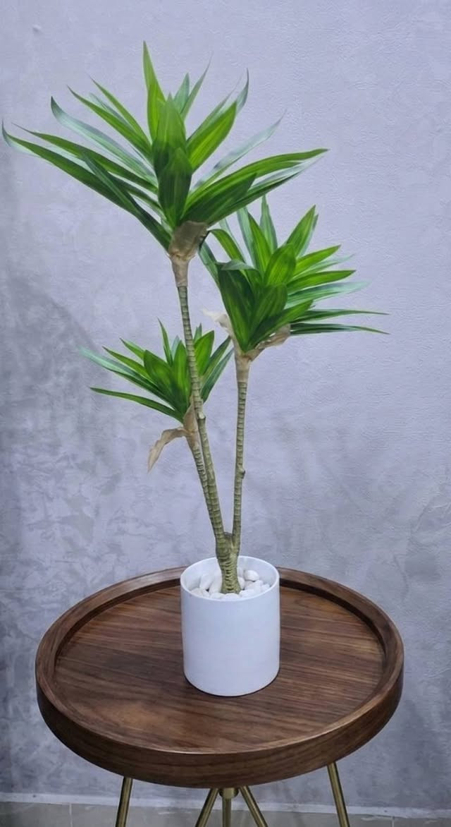 بضاعه امزون للبيع


**إذا كنت صاحب هذا الإعلان وتريد حذفه لأي سبب، رجاءا أرسل رسالة إلى الدعم الفني**