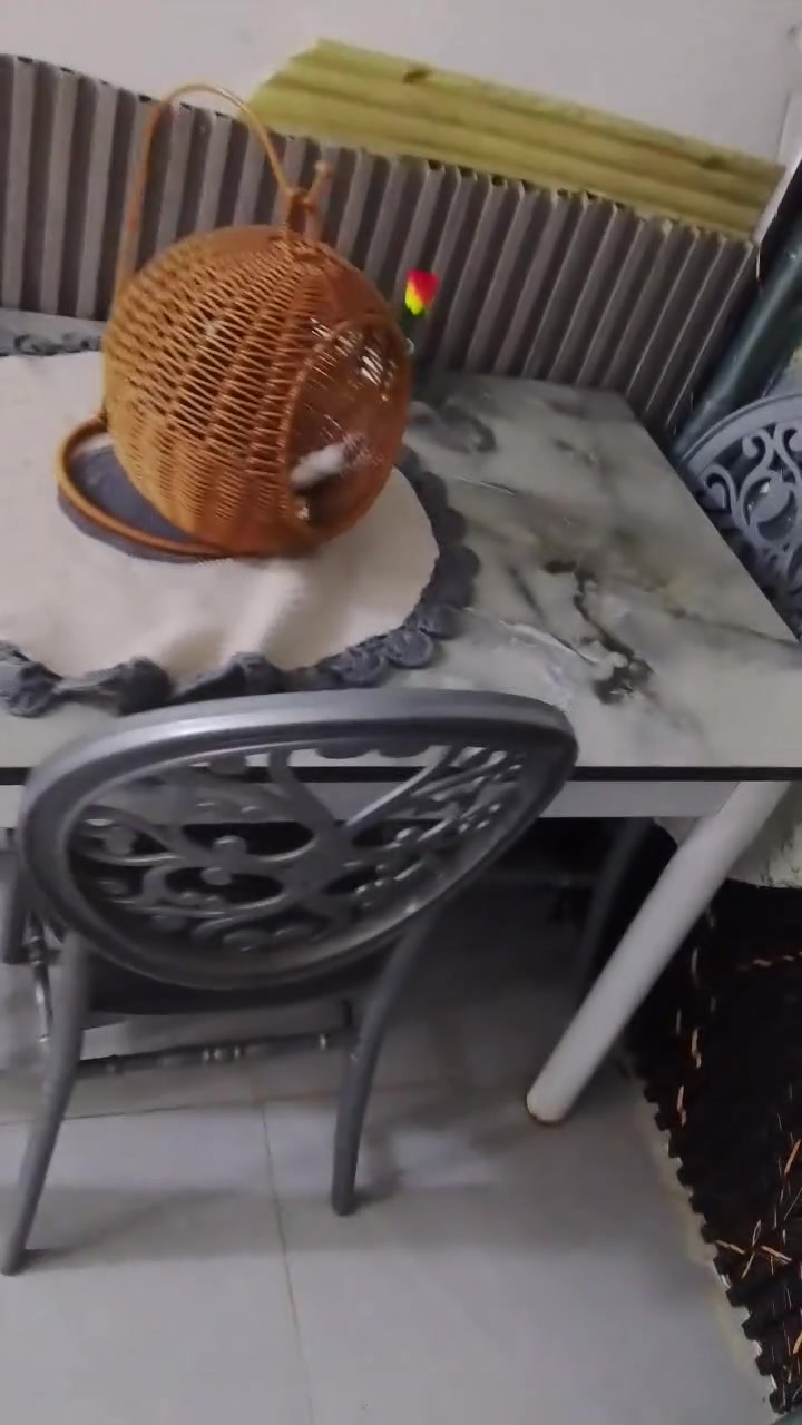 السلام عليكم ميز طعام نضيف جدا ست كراسي ب115 أربع كراسي ب90 قفل


**إذا كنت صاحب هذا الإعلان وتريد حذفه لأي سبب، رجاءا أرسل رسالة إلى الدعم الفني**
