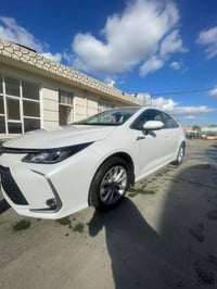 كورلا • ٢٠٢٤ • رقم اربيل