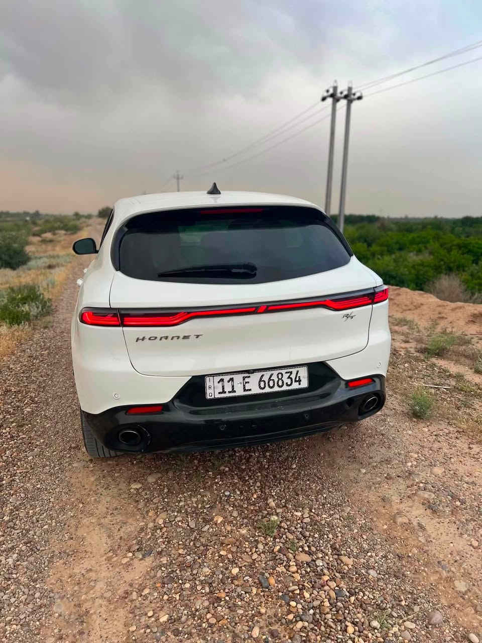 بعد التحيه والسلام 

🔥 للبيع فقط – دودج هورنت R/T موديل 2024 🔥

💎 سيارة رياضية هجينة (Plug-in Hybrid) تجمع بين القوة، الأداء، والاقتصاد في استهلاك الوقود.

✅ المواصفات:
• موديل: 2024
• الفئة: R/T
• محرك 1.3 لتر تيربو + محرك كهربائي (Plug-in Hybrid)
• قوة 288 حصان
• دفع رباعي AWD
• ناقل حركة أوتوماتيك 6 سرعات
• ممشى: ٤٠ ميل
• اللون الخارجي: ابيض
• الداخلية: أسود

🌟 المواصفات :
• شاشة عدادات رقمية 12.3 إنش
• شاشة معلومات وترفيه 10.25 إنش
• Apple CarPlay وAndroid Auto لاسلكي
• تشغيل بصمة مع مفتاح ذكي
• مثبت سرعة متكيف (Adaptive Cruise Control)
• تحذير مغادرة المسار مع المساعدة على البقاء داخله
• مراقبة النقطة العمياء
• نظام الكبح التلقائي للطوارئ
• كاميرا خلفية
• حساسات اصطفاف
• مكيف أوتوماتيك ثنائي المناطق
• مقاعد رياضية
• أنظمة قيادة متعددة (Hybrid / Electric / Sport / E-Save)
• نظام PowerShot لزيادة الأداء عند التسارع
• مصابيح LED كاملة
• جنوط رياضية ألمنيوم

📌 حالة السيارة:
✔️ صور الحادث مرفقه بالمنشور 
صندوق ومعدل نفسه 
✔️ السيارة جاهزة ولا تحتاج أي مصروف.

📄 سعرها ب١٦٥ وبيها مجال بسيط او مراوس بسياره ناصي 

رقمي ***********
