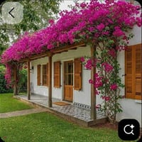 حي المرتضى • طابو ملك • ٢٣٧م