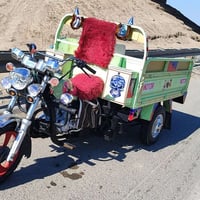 ستوته 2017 • تاير چوبلس • أوراق أصلية