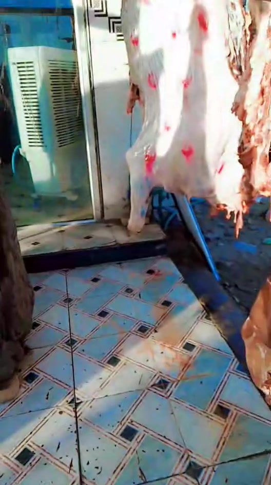 اللهم صلي على محمد وال محمد ذباحه يوم الثلاثاء حلقوم درجه اوله الكيلو 12الف للصحاب المواكب اسعار تنافسيه وذبح امام العين ***********
