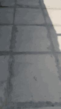 عندي ستوتة
اشتغل تنظيف السطوح
تنظيف الحدائق
رفع الانقاض
رقمي ***********
