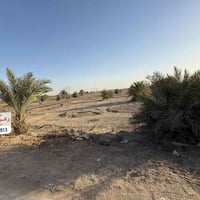 دونم تجاري • ركن • الشافعيه ام عباسيات