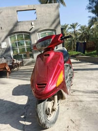 دراجة فراشة • كفالة عامة • بابل الحمزة الغربي