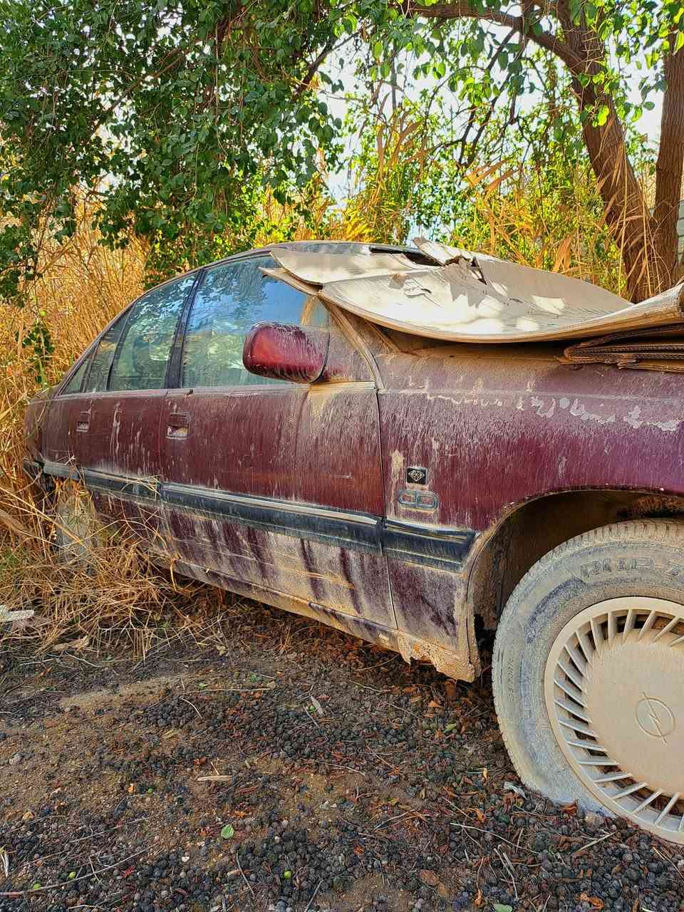 السلام عليكم
سياره اوبل موديل ١٩٩١ رقم كربلاء مشروع وطني 
تحويل ثاني يوم السياره بأسمي 
مكان السياره كربلاء 
سعر ١٦ ورقه بيه مجال 
للاستفسار ***********
