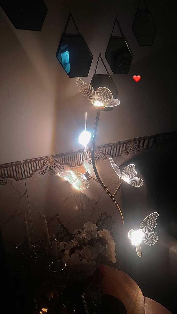 تيبلام فراشه للبيع


**إذا كنت صاحب هذا الإعلان وتريد حذفه لأي سبب، رجاءا أرسل رسالة إلى الدعم الفني**