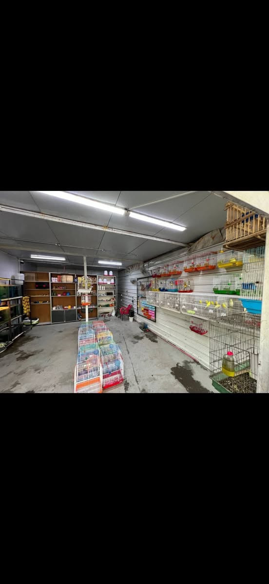 محل للبيع كامل مكمل انطيك مفتاح  كلشي بي حته منضومه كامرات ونت 
يصير ملك الك بالكامل فقط تدفع اجار مال ارض 350
عنوانه حي جهاد شارع العام  مقابل شقق حي سلام  مجاور مشتل عابد فلور
***********
