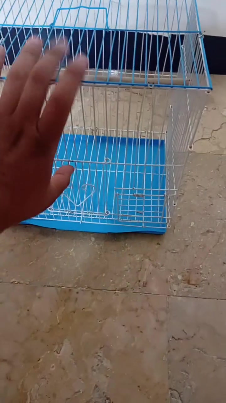 أقفاص و أغراض طيور زينة للبيع كربلاء حي السلام قيم و أخذ


**إذا كنت صاحب هذا الإعلان وتريد حذفه لأي سبب، رجاءا أرسل رسالة إلى الدعم الفني**
