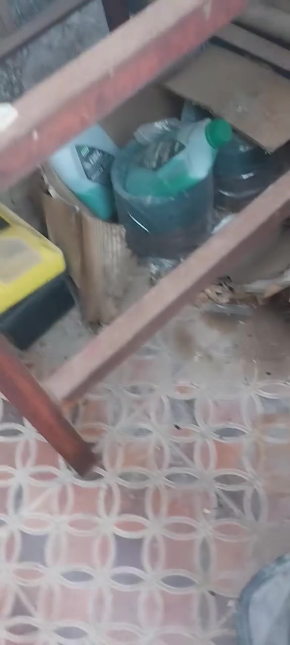 خباطة موديل ٢٠٢٦ 
مع بم اسمنت 
صناعة صينية 
قوة الضخ ١٠٠م ارتفاع 
و ٢٠٠م ارضي 
للتواصل ***********
